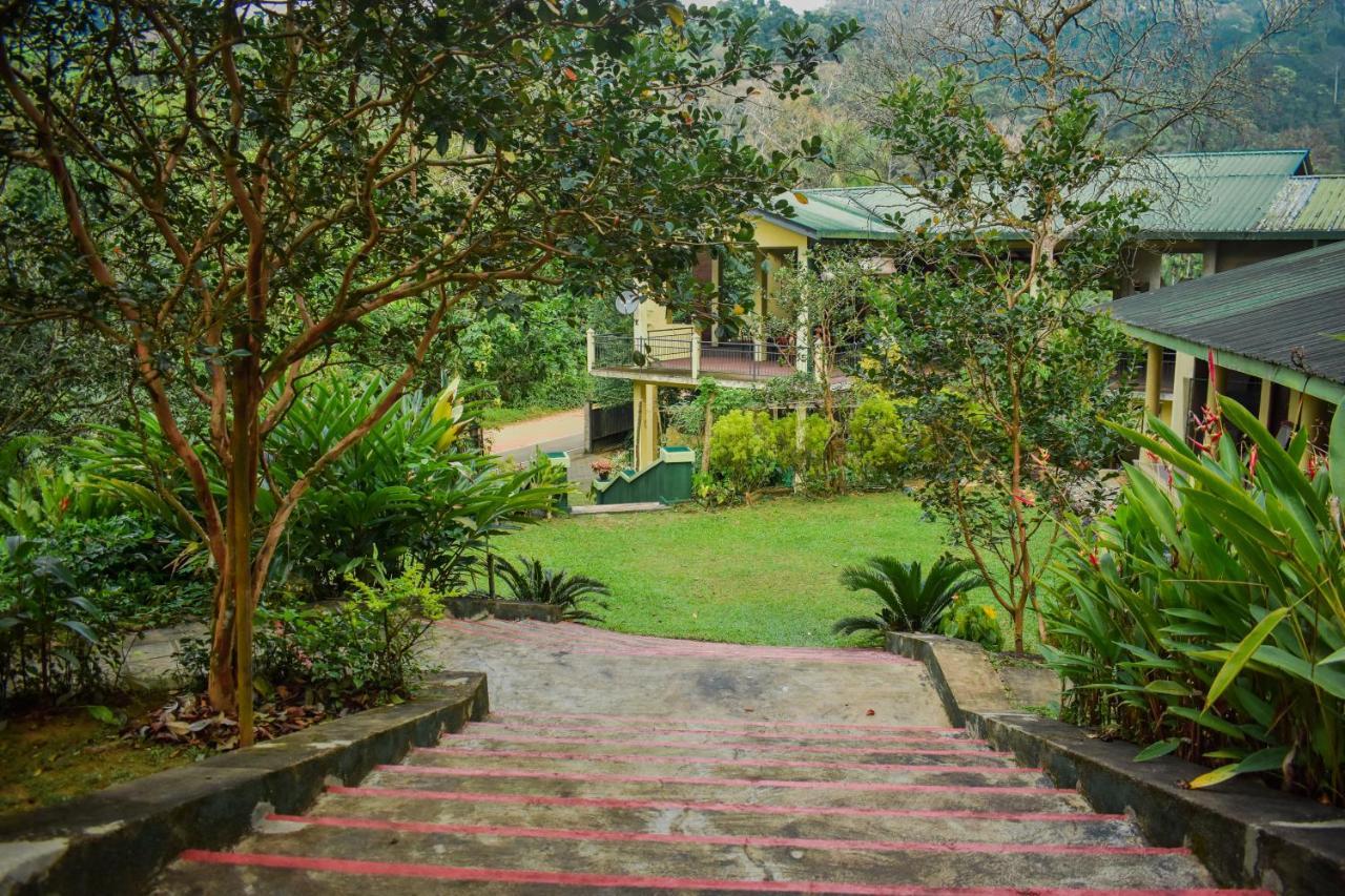 Blue Magpie Lodge Sinharaja Kudawe 외부 사진