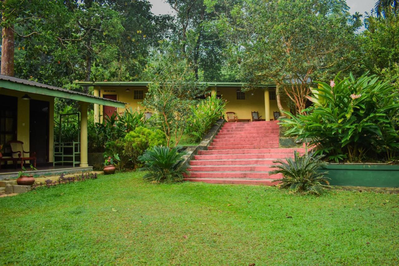 Blue Magpie Lodge Sinharaja Kudawe 외부 사진