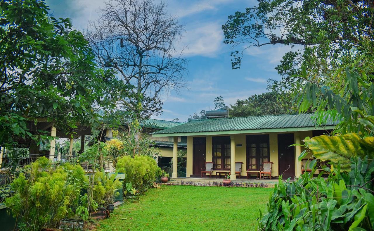 Blue Magpie Lodge Sinharaja Kudawe 외부 사진